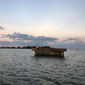 Meet your Posher, Sophia